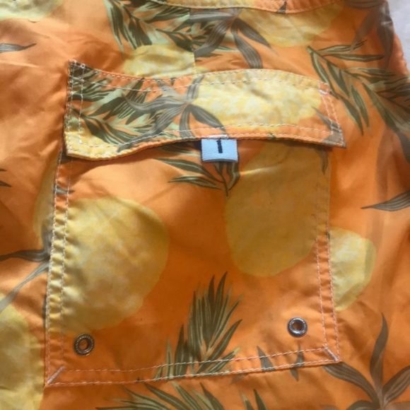 Banana Republic Pineapple Print Swim Trunks - 36 - Picture 6 of 7